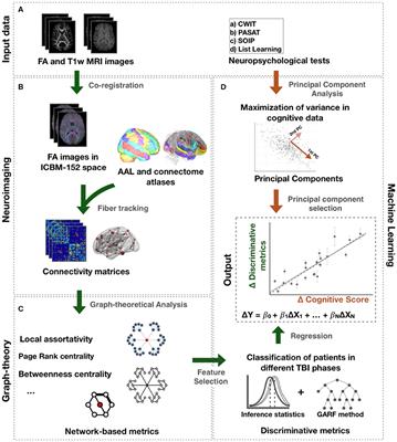 Investigating Brain Network Changes and Their Association With Cognitive Recovery After Traumatic Brain Injury: A Longitudinal Analysis